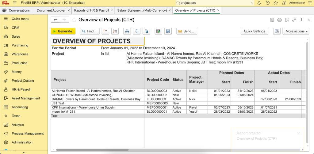Project overview report in FirstBit ERP